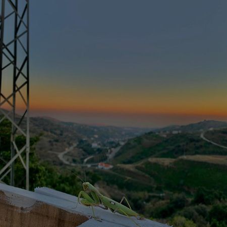 Casa Rural Malaga Monkey Love Con Jacuzzi Iznate Bagian luar foto